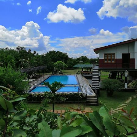 Eco Hotel Black & White - Anuradhapura ミヒンタレー エクステリア 写真