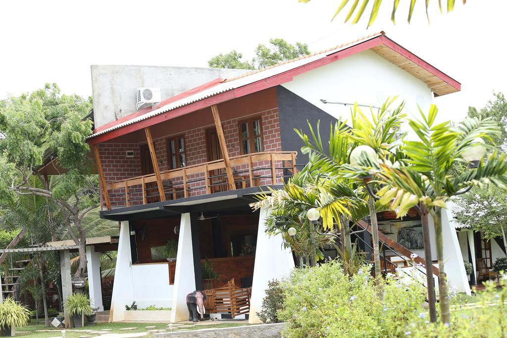 Eco Hotel Black & White - Anuradhapura ミヒンタレー エクステリア 写真