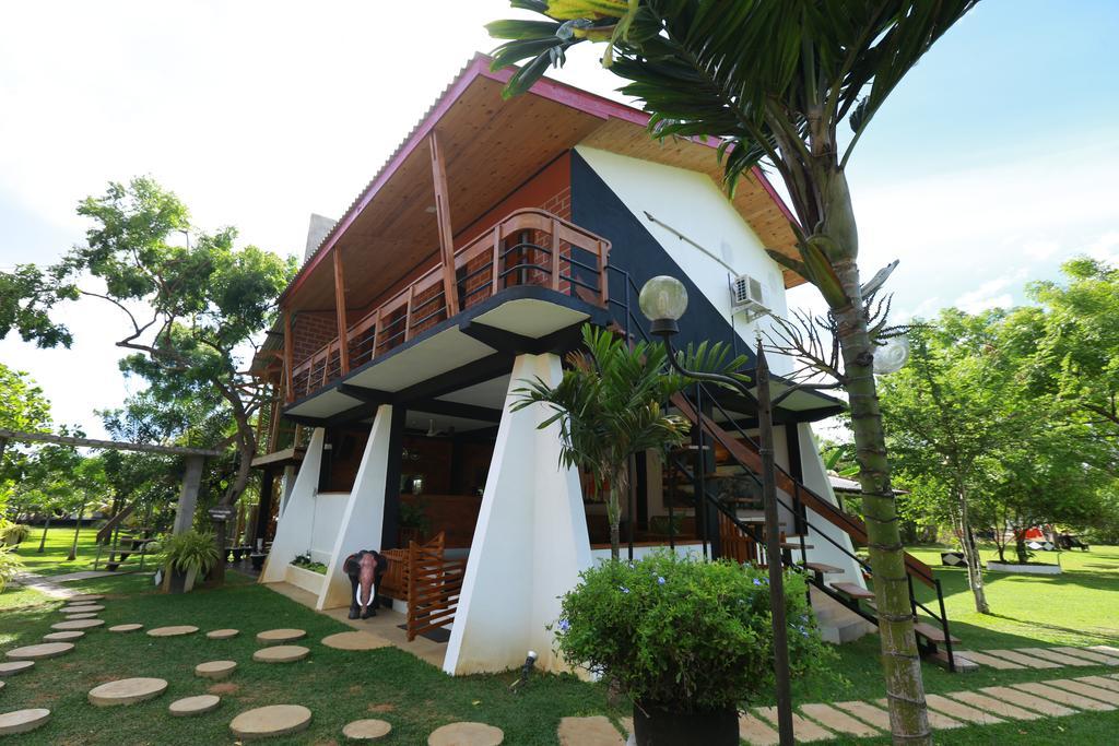 Eco Hotel Black & White - Anuradhapura ミヒンタレー エクステリア 写真