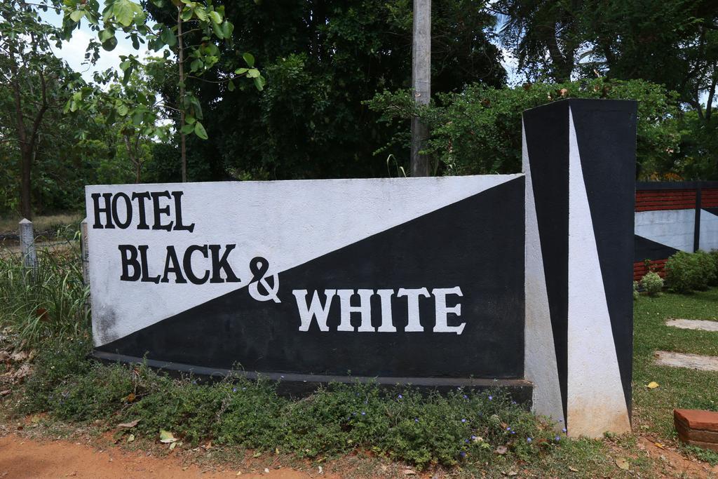 Eco Hotel Black & White - Anuradhapura ミヒンタレー エクステリア 写真