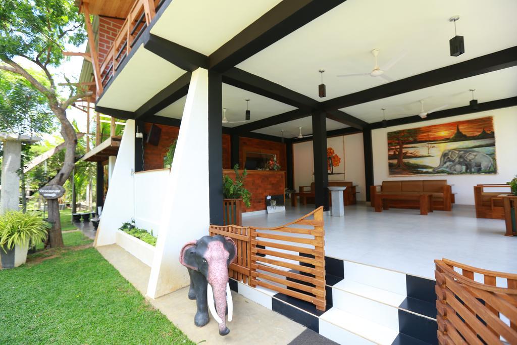 Eco Hotel Black & White - Anuradhapura ミヒンタレー エクステリア 写真