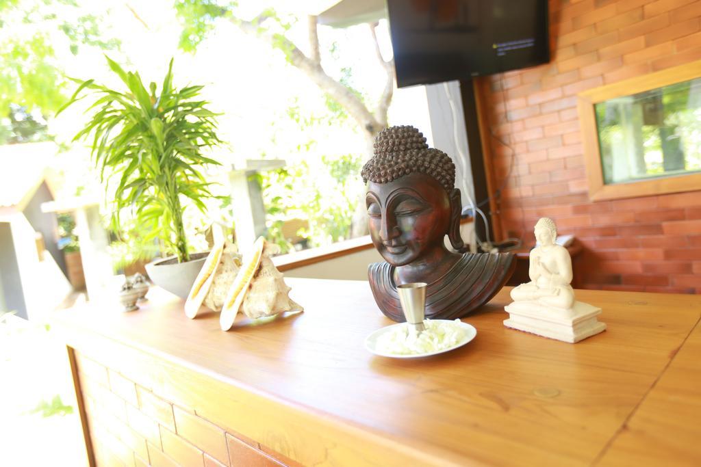 Eco Hotel Black & White - Anuradhapura ミヒンタレー エクステリア 写真