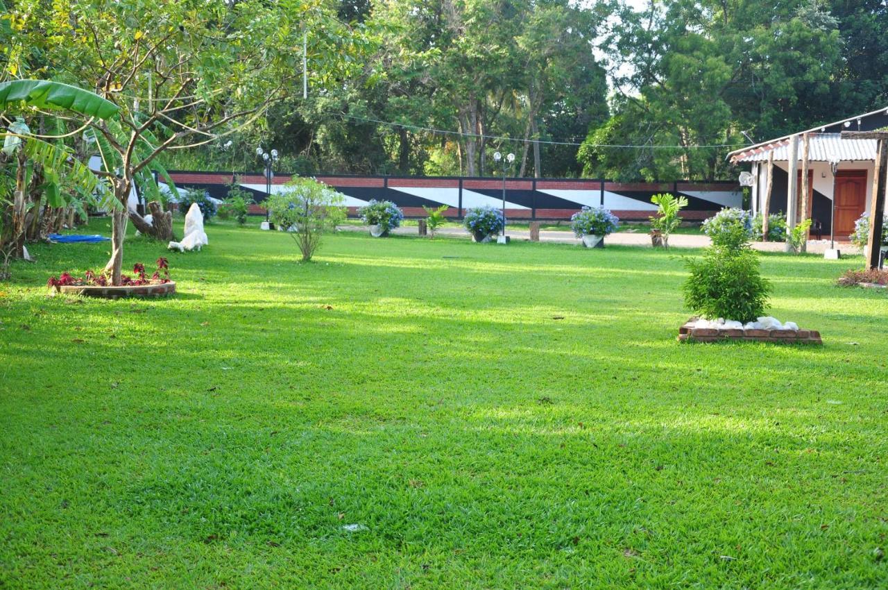Eco Hotel Black & White - Anuradhapura ミヒンタレー エクステリア 写真
